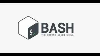 Easy Bash Scripting Tutorial for Linux Users Step-by-Step Ubuntu Bash Scripting