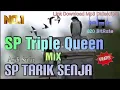 Download Lagu Suara Panggil Walet Triple Queen VS Tarik Senja Andi Sufar Call Swallow Birds เสียงนกนางแอ่น
