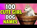 100 Cute Names For A Girl Dog Female Dog Names