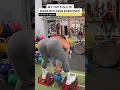 MY TOP 5 MASS BUILDING GLUTE EXERCISES