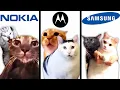 Download Lagu Meme Cats: Famous Phone Ringtones