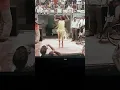 Download Lagu Rita Cadillac - É bom para o moral