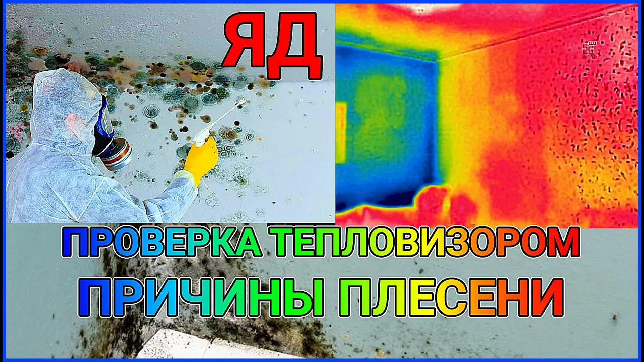 КАК НАВСЕГДА ВЫВЕСТИ  ПЛЕСЕНЬ БЕЗ ЯДОВИТЫХ СРЕДСТВ