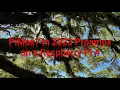 PiMox7 in 2023 Proxmox on a Raspberry Pi 4