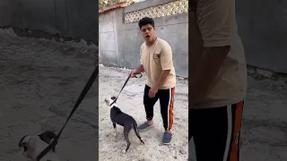 لما صاحبك يجيبلك كلب وابوك ميرضاش يدخله البيت سيف عماد بورا العسال 