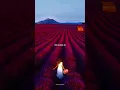 Download Lagu Me Gustas Tu - Manu Chao Lyrics/WhatsApp Status/Aesthetic/Edit/Slowed/Sped up/English song #music