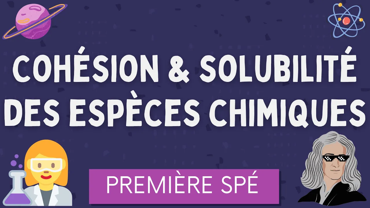 Cohésion et Solubilité des espèces chimiques / Première Spécialité Physique Chimie