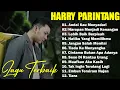 LAGU GALAU BIKIN BAPER HARRY PARINTANG