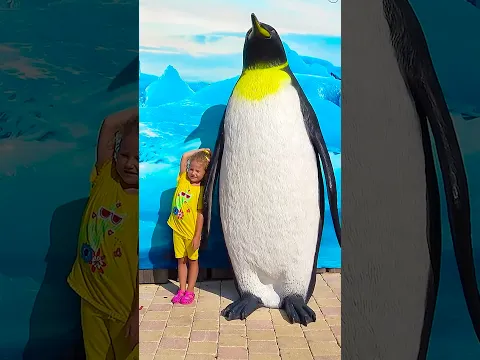 Animals for kids 🦈 🐻‍❄️ 🐧 Mila's SHOCKING Shark Encounter! #kidsshorts #zoo
