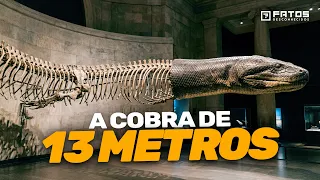 As descobertas paleontológicas mais aterrorizantes já feitas