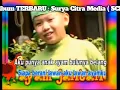 Download Lagu Ayam Jantan - Alfandy 