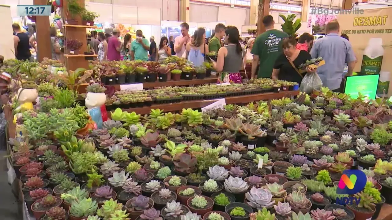 Festa das Flores: movimenta mercado de plantas em Joinville e deve receber 120 mil pessoas