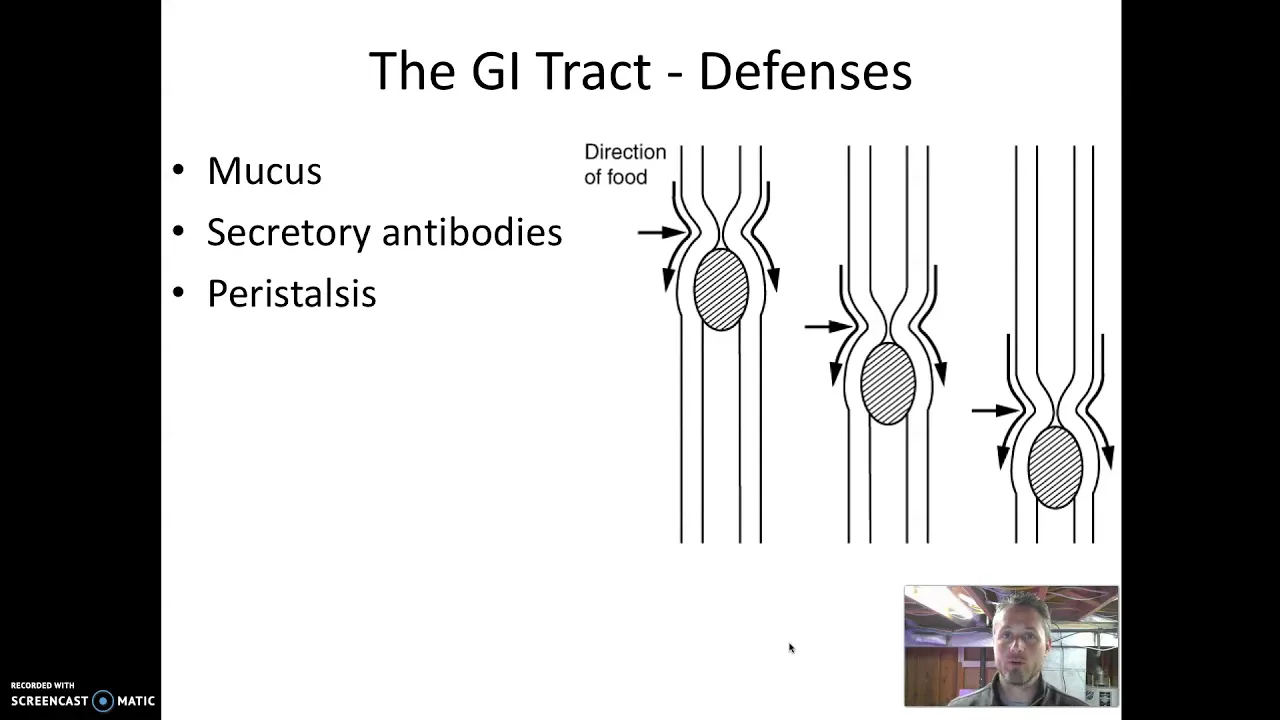 Gastrointestinal Tract Microbiology