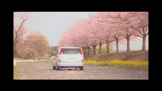 Mr.Children 「ひびき」 MUSIC VIDEO