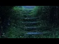 Download Lagu Dream with Rain \u0026 Thunder Sounds for Sleeping | Help Study, PTSD, Insomnia \u0026 Tinnitus
