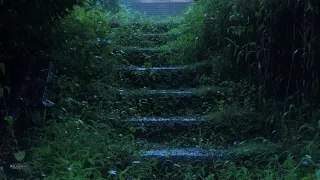 Dream with Rain Thunder Sounds for Sleeping Help Study PTSD Insomnia Tinnitus