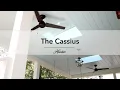 The Cassius Outdoor Ceiling Fan from Hunter