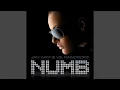 Download Lagu Numb (DJ Lanai Jump Mix)