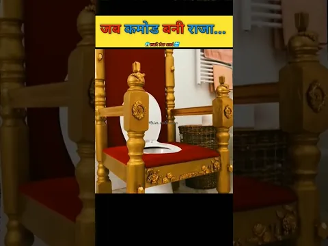 कमोड बनी राजा...#trendingshorts #shorts #rajachair