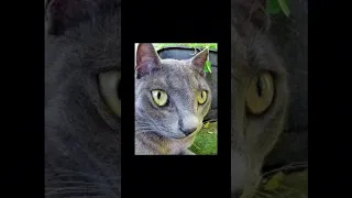 secret app