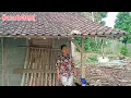 Download Lagu 🔴 TERNYATA SAMPING RUMAH YANG DULU DI TEMPATI MAS LONDO DI BONGKAR‼️SUASANA SORE HARI DI DESA