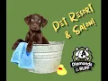 Pet Resort and Salon in Abilene TX - Diamonds in the Ruff