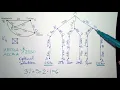 TSP - Brute Force Algorithm
