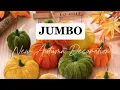 Download Lagu JUMBO/ΝΕΟ!!! ΦΘΙΝΟΠΩΡΙΝΑ ΔΙΑΚΟΣΜΗΤΙΚΑ/NEW AUTUMN DECORATION/