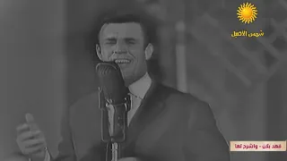             دندنها