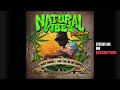 Busy Signal - Can You Be My Baby [Natural Vibes Riddim | Official Audio 2024]