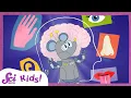 Your Body s Senses SciShow Kids Compilation