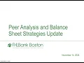 Peer Analysis and Balance Sheet Strategies Update November 2024