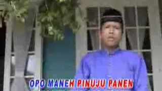 sholawat repot wali songo sragen