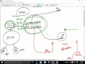 Loop Avoidance Nanda VOIP Server Part 1