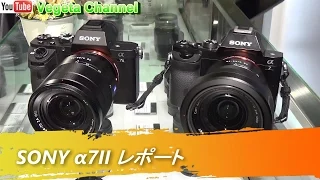 索尼ILCE-7M2套机（FE 28-70mm）  Sony