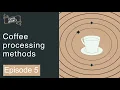Coffee Journey Ep 5 Pt 1 Coffee processing methods