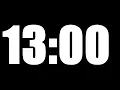13 MINUTE TIMER LOUD ALARM