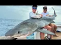 Download Lagu IK VANG DE GROOTSTE VIS VAN MIJN LEVEN!🦈