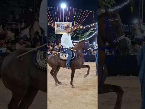 خيل رقص عربي