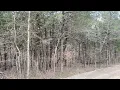amazing investment property Baxter County Arkansas