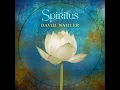 Bhakti Heart - David Wahler