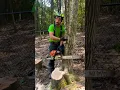 Download Lagu BEST Small Tree Felling Technique for FULL CONTROL 🌴