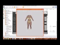 Skyrim SE CBBE 2 and Bodyslide Installation Nexus Mod Manager Tutorial