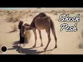 Shesh Pesh - JR Tundra (EXTENDED)