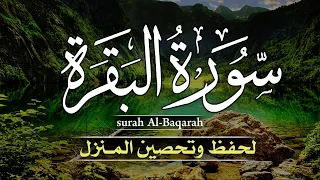 سورة البقرة كاملة لتحصين المنزل وجلب البركة وقضاء الحوائج Surah Al Bakara تلاوة هادئة تريح القلوبR 