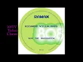 Ricardo Villalobos/808 The Bassqueen