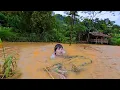 Download Lagu Trang was in trouble in typhoon No. 11 Matmo, will she be able to overcome it?