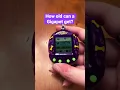 Gigapets stop aging