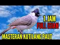 Download Lagu MASTERAN KUTILANG GACOR FULL ISIAN MURAI BATU