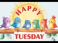 Happy Tuesday Wishes Beautiful Tuesday Blessings Positive Vibes